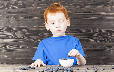 Image showing blueberry kitchen