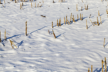 Image showing snow-covered land