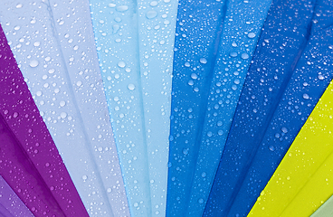 Image showing colorful umbrella