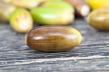 Image showing oak nuts - acorns