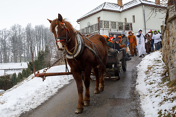 Image showing People attend the Masopust Carnival