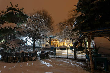 Image showing night winter in garden