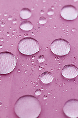 Image showing water repellent umbrella