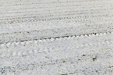 Image showing covered with snow plowed earth