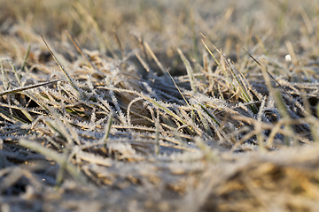 Image showing Snow drifts in winter