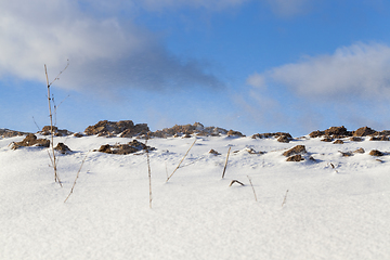 Image showing Snow in winter