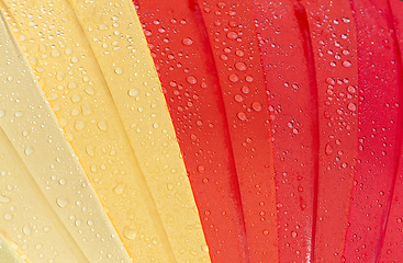 Image showing colorful umbrella