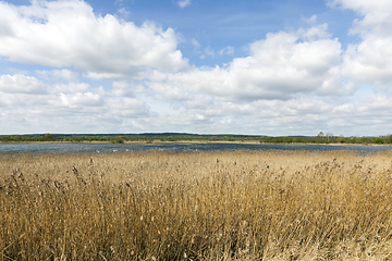 Image showing nature spring lake