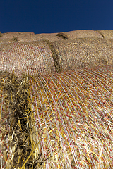 Image showing stacks of golden fresh straw s