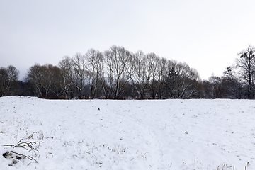 Image showing Snow drifts in winter