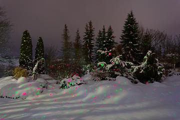 Image showing night winter in garden