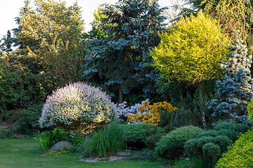 Image showing Beautiful spring garden