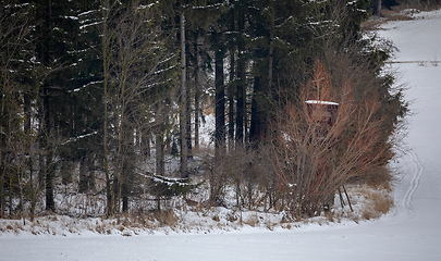 Image showing Wooden hunting tower in forest