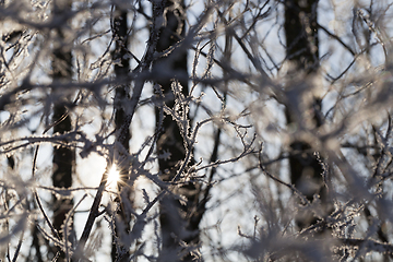 Image showing Snow drifts in winter