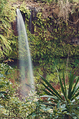 Image showing waterfall in Amber mountain, Madagascar