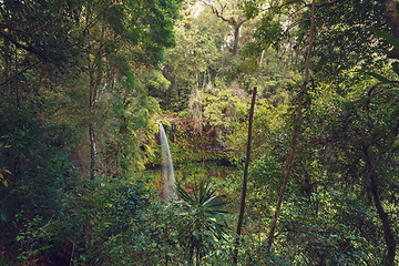 Image showing waterfall in Amber mountain, Madagascar