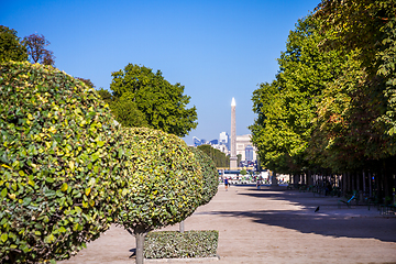 Image showing Tuileries Garden, Obelisk and triumphal arch, Paris, France