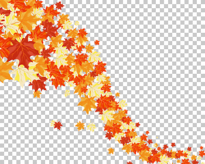 Image showing Falling maple leaves