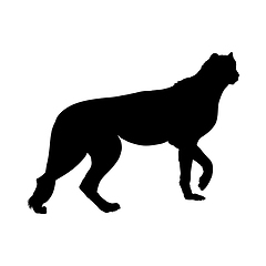 Image showing Leopard Silhouette