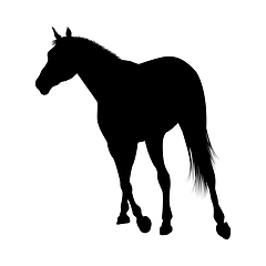 Image showing Horse Silhouette