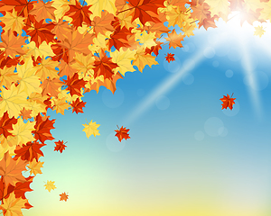 Image showing Fall (Autumn) Background 