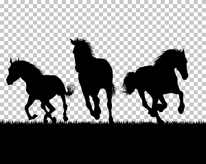 Image showing Horse silhouette on Grass Background