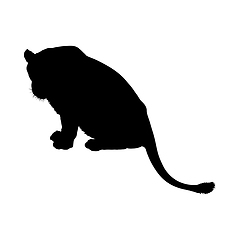 Image showing Lion Silhouette
