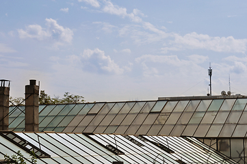 Image showing greenhouse glass roof