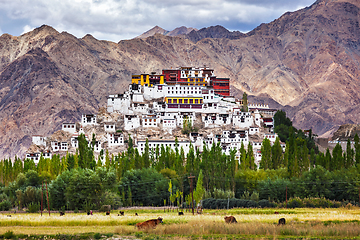 Image showing Thiksey gompa, Ladakh, India