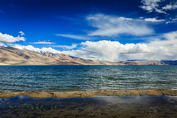 Image showing Lake Tso Moriri, Ladakh