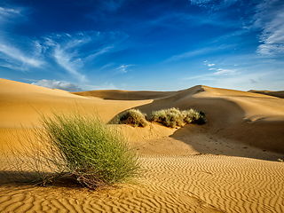 Image showing Sand dunes in desert