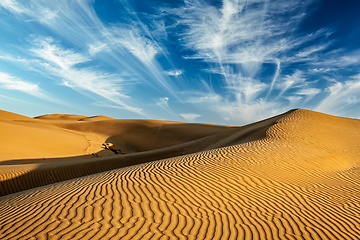 Image showing Sand dunes in desert