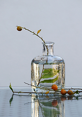 Image showing Still life with duranta branches