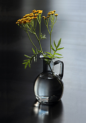 Image showing Still life with tansy