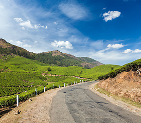 Image showing Green tea plantations in Munnar, Kerala, India