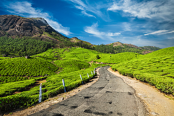 Image showing Road in tea plantations, India