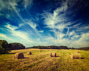 Image showing Hay bales on field