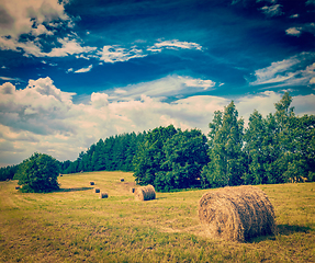 Image showing Hay bales on field