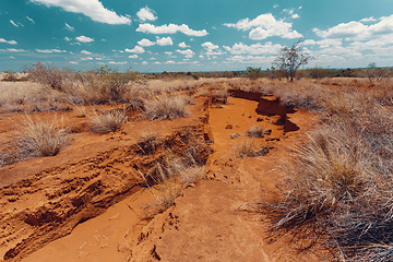 Image showing Ankarokaroka canyon in Ankarafantsika, Madagascar