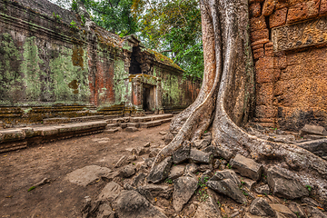 Image showing Ancient ruins and tree roots, Ta Prohm temple, Angkor, Cambodia