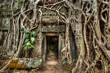 Image showing Ancient stone door and tree roots, Ta Prohm temple, Angkor, Camb