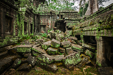 Image showing Ancient ruins of Ta Prohm temple, Angkor, Cambodia