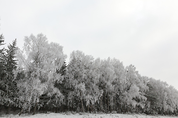 Image showing Snow drifts in winter