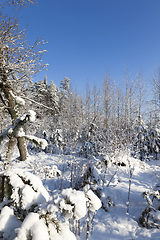 Image showing Snow drifts in winter