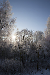 Image showing Winter landscape