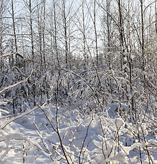 Image showing Snow drifts in winter