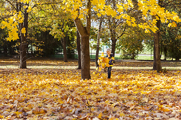 Image showing a boy kicks foliage