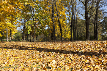 Image showing beautiful fall