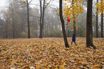 Image showing boy in autumn park