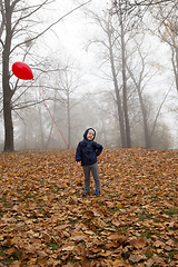 Image showing autumn park with boy
